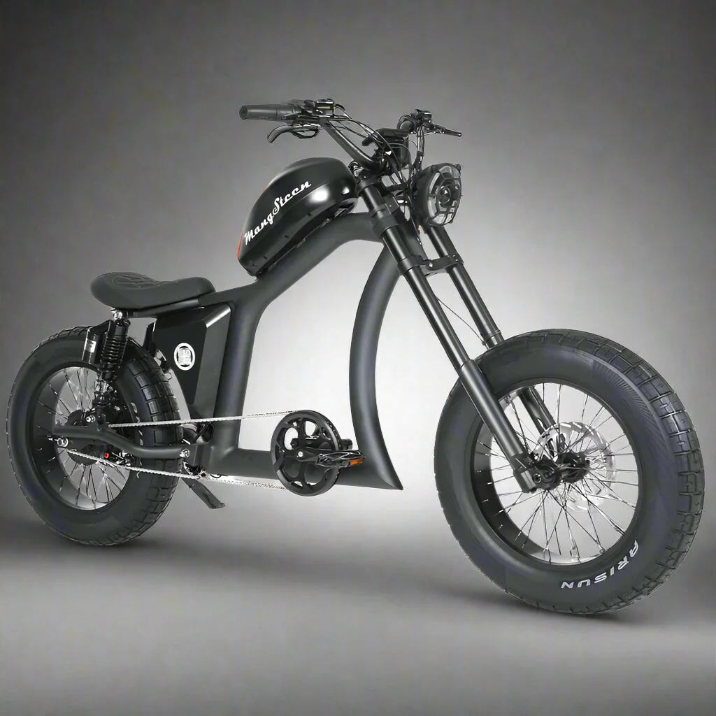 fat bike electrique 45 km h 5